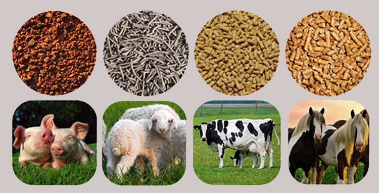 Animal feed pellet and feed pellet machine