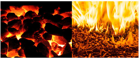Characteristics of biomass pellet fuel