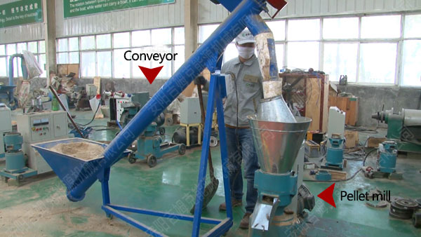 Conveyor and small pellet machine