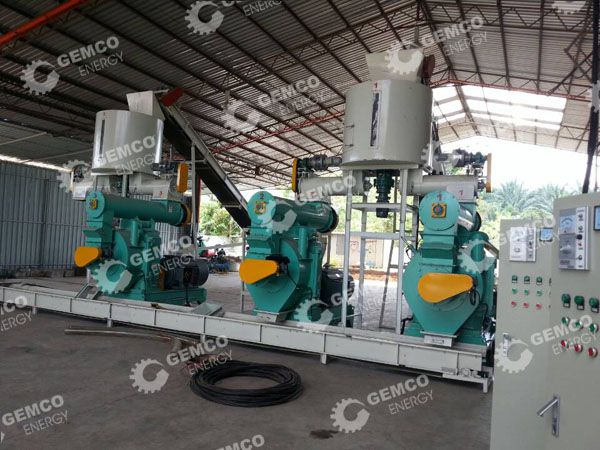 EFB pellet mill 2