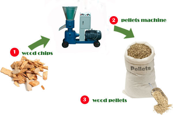 From biomass to biofuel