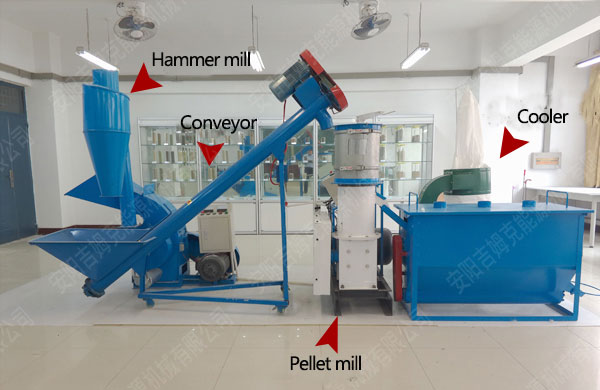 Hammer mill, conveyor, pellet mill and cooler