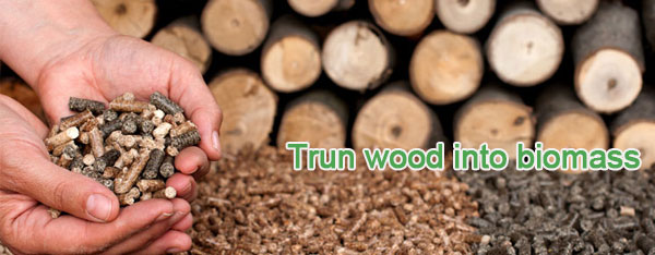 Trun wood into biomass