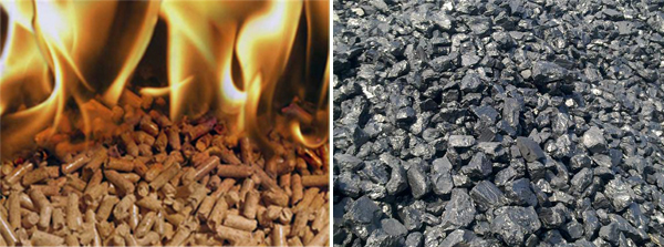 Biomass Pellets and Fire Coal