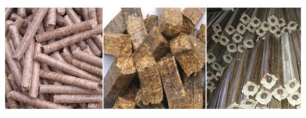 biomass molding fuel