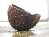coconut shell outer