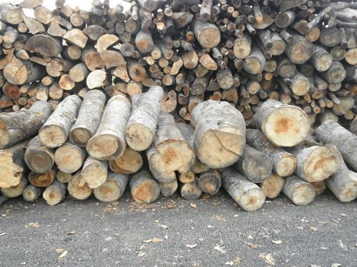 raw materials logs