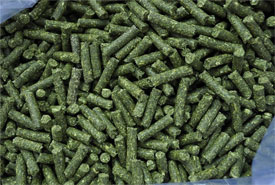 New produced grass pellets