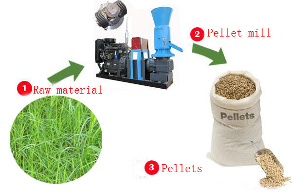 Process of making grass pellets