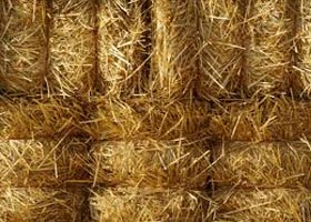 straw raw materials 
