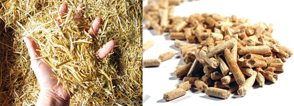 raw material,straw, straw pellet mill